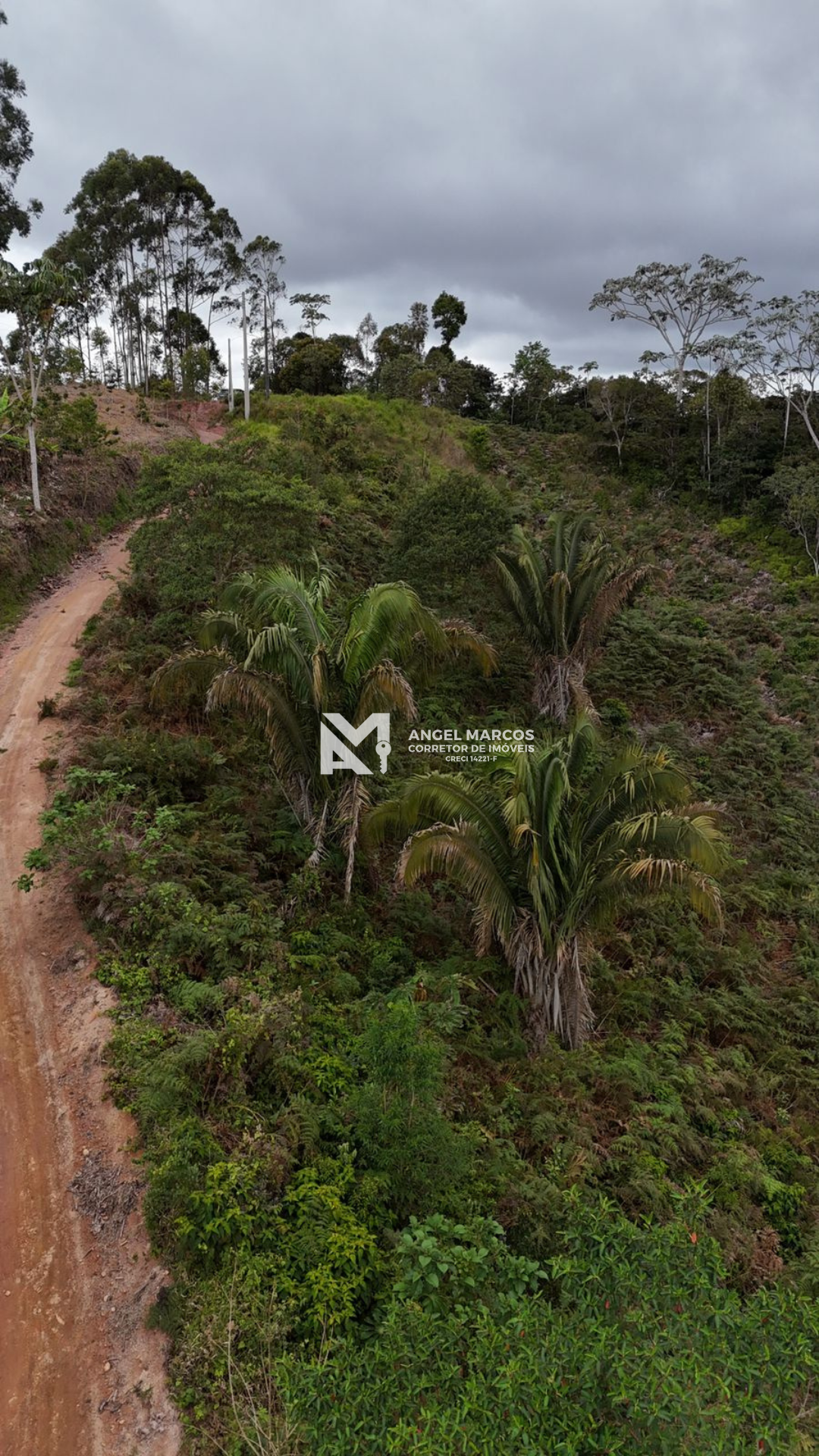 Imagem 4 da propriedade